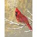 The Holiday Aisle® Winter Birds Cardinal Color by Beth Grove - Wrapped Canvas Print Canvas in White | 48 H x 36 W x 1.25 D in | Wayfair