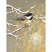 Wildon Home® Winter Birds Chickadee Color by Beth Grove - Wrapped Canvas Print Canvas in White | 48 H x 36 W x 1.25 D in | Wayfair