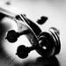 Ebern Designs Handmade Violin Scroll - Wrapped Canvas Photograph Canvas in Black/White | 12 H x 12 W x 1.25 D in | Wayfair