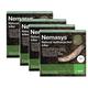 4 X Nemasys leatherjacket killer (100sqm pack)