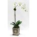 Mercer41 Orchid Floral Arrangement in Wooden Small Square Container in White/Brown | 26 H x 10 W x 6 D in | Wayfair