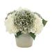 Primrue Hydrangea Floral Arrangement in Pot Polysilk, Ceramic | 13 H x 14 W x 14 D in | Wayfair 41D8B36782A8404D95CB291524EE6FE7