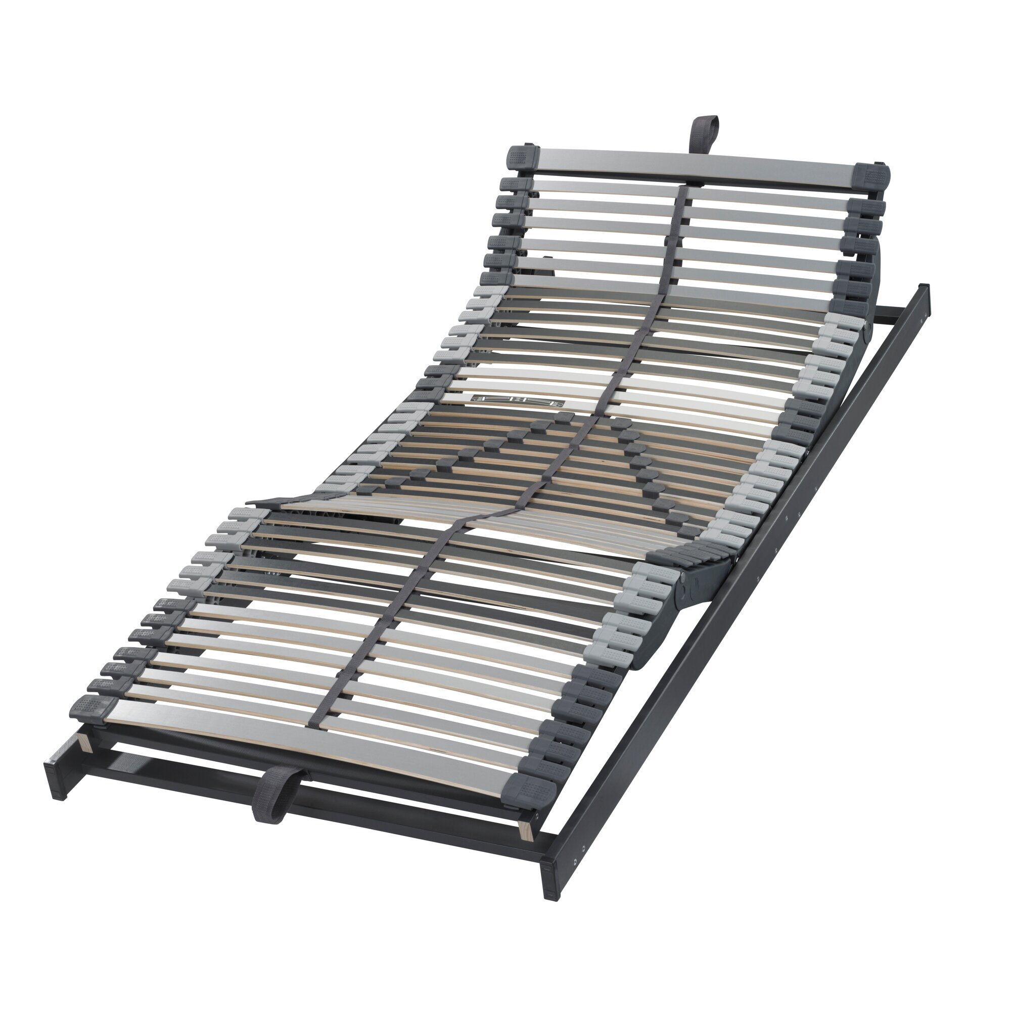 Badenia »Trio 44 EL« Lattenrost Motor 100x200 cm / mit Handschalter