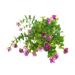 Garden Artifical greenery that look real for flower arrangement Potted artificial flower arrangements green floral arrangement Artificial Flowers Green Potted Fence Flower Eucalyptuss Arrangement