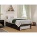 Lark Manor™ Aayanna Solid Wood Sturdy Platform Bed w/ Guest Trundle Wood in Brown | 14 H x 38.38 W x 81.5 D in | Wayfair