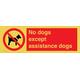 Schild mit Aufschrift "No dogs except aid dogs", 600 x 200 mm, L62