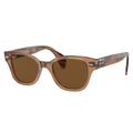 Ray-Ban RB0880SF Sunglasses Transparent Brown Frame Brown Polarized Lens Asian Fit 53 RB0880SF-664057-53