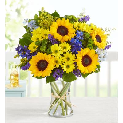1-800-Flowers Seasonal Gift Delivery Fields Of Europe Summer Xl