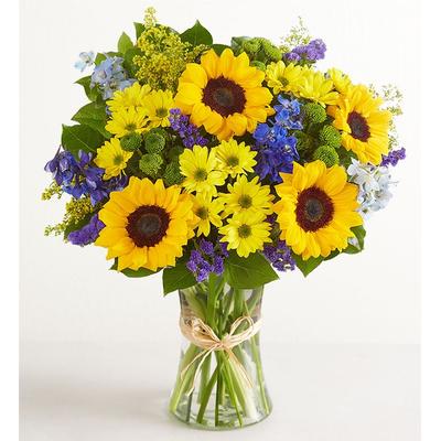 1-800-Flowers Seasonal Gift Delivery Fields Of Europe Summer Xl