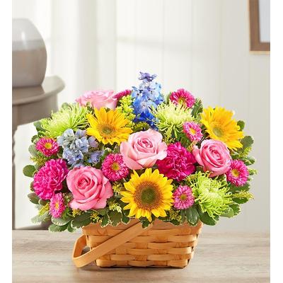 1-800-Flowers Plant Delivery Sunny Garden Basket L...