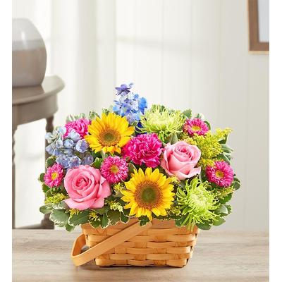 1-800-Flowers Plant Delivery Sunny Garden Basket Medium Plant