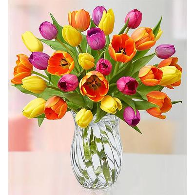 1-800-Flowers Flower Delivery Assorted Tulip Bouquet + Free Vase 30 Stems W/ Free Clear Vase