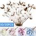 20PCS Cotton Stems Fake Cotton Flowers Dried Cotton Picks Stalks Plants Artificial Cotton Floral Stems Faux Farmhouse Decorations for Vase Home Decor