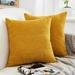 Pack of 2 Thick Chenille Decorative Square Throw Pillow Cover Cushion Covers Pillowcase Home Decor Decorations for Sofa Couch Bed Chair 18x18 Inch/45x45 cm