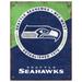 Seattle Seahawks 13" x 20" Two-Tone Established Date Metal Sign
