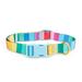 Rainbow Stripe Dog Collar, X-Small/Small, Multi-Color