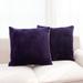 Cheer Collection Set of 2 Ultra Soft and Fluffy Throw Pillow