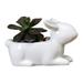 Yesbay Flower Pot Minimalistic Anti-deformation Stable Convenient Desktop Decor Ceramic Rabbit Shape Planter Pot Succulent Accessories