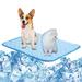 SHCKE Dog Mat Summer Reusable Pet Training Pad Sleep Mat Machine Washable Summer Dog Pads Pet Blanket for Kennel/Sofa/Bed/Floor/Car Seats