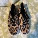 Kate Spade Shoes | Keds X Kate Spade Low Top Cheetah Shoes | Color: Black/Brown | Size: 7