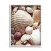 Stupell Industries Various Nautical Clam Conch Shells by Ashley Aldridge - Floater Frame Photograph on in Brown | 30 H x 24 W x 1.5 D in | Wayfair