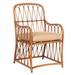 Woodard Cane Patio Dining Armchair w/ Cushion in Brown | 36.25 H x 21.31 W x 24.88 D in | Wayfair S650510-CAN-03Y