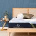 Queen Medium 12.75" Memory Foam Mattress - Serta iComfortECO F10 | 79.5 H x 60 W 12.75 D in Wayfair 500805178-1050