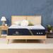 Queen Medium 15.75" Memory Foam Mattress - Serta iComfortECO F40HD | 79.5 H x 60 W 15.75 D in Wayfair 500805318-1050