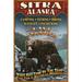 Sitka Alaska Black Bear Family Vintage Sign (12x18 Wall Art Poster Room Decor)