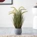 SAFAVIEH Home Faux 21" Potted Grass Plant - 15"W x 15"D x 21"H