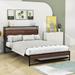 17 Stories Wilhelmi Metal Platform Bed Frame w/ Trundle & USB Ports Wood in Black/Brown | 39 H x 55 W x 81 D in | Wayfair