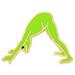 PinMart s Yoga Frog - Downward Facing Frog Trendy Enamel Lapel Pin