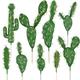 Woohome 9 PCS Faux Fake Succulents Faux Cactus Artificial Cactus Decor Succulent Artificial Cacti Plant Artificial Cactus Succulent Plants for Decoration Faux Cactus Plant Bulk