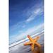 Highland Dunes Starfish Om Sandy Beach - Wrapped Canvas Photograph Canvas in Blue/White | 18 H x 12 W x 1.25 D in | Wayfair