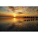 Ebern Designs Camels in Broome - Wrapped Canvas Photograph Canvas in Orange | 12 H x 18 W x 1.25 D in | Wayfair 1E14B034D4F349AAADAF928382C292C2