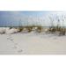 Highland Dunes Steps Along Beach Dunes - Wrapped Canvas Photograph Canvas in White | 24 H x 36 W x 1.25 D in | Wayfair