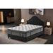 Full Medium 14" Foam Mattress - Container Furniture Direct Euro Top | 75 H x 54 W 14 D in Wayfair CFDSL-MT3-F