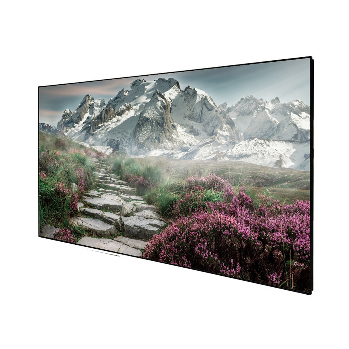 DELUXX Cinema Rahmenleinwand SlimFrame 354 x 199cm, 160` - SOUNDVISION Image