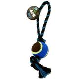 Knotted Dog Toy with Tennis Ball Case Pack 24