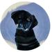 Anthropologie Accents | Anthropologie Sally Muir Dog-A-Day Labrador Retriever Dessert Plate | Color: Black/Blue | Size: Os