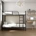 Isabelle & Max™ Bunk Bed Twin Over Twin, Metal Frame Split Bunk Bed w/ Safety Rails & Ladder | 65 H x 41.5 W x 78 D in | Wayfair