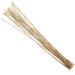 The Twillery Co.® Bamboo Floral Arrangement | 40.5 H x 6.5 W x 3 D in | Wayfair 917E8D7EBB904907A9C59B011F9D65E9