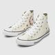 Converse all star hi bees and berries trainers in white & green