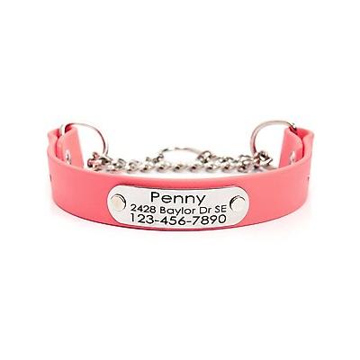 Mimi Green Waterproof Leather Martingale Dog Collar with Personalized ID Tag, Coral Pink, Large