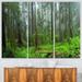Design Art Hoh Rain Forest - 3 Piece Graphic Art on Wrapped Canvas Set