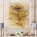 DESIGN ART Designart Feather Natural elements I Traditional Canvas Artwork Print - Brown 44 in. wide x 34 in. high