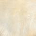 Lambzy Highland Select Natural Long Wool Sheepskin 1-1/2 Pelt Shag Rug - 2 x 4 Cream N/A