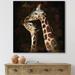 DESIGN ART Designart Portrait Of Two Giraffes Kissing I Farmhouse Canvas Wall Art Print 36 in. wide x 36 in. high