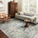 Alexander Home Charlotte Distressed Transitional Area Rug 2 -8 x 4 3 x 5 2 x 3 Indoor Entryway Kitchen Bathroom