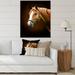 DESIGN ART Designart Portrait Of A Brown Horse IV Traditional Canvas Wall Art Print 34 in. wide x 44 in. high